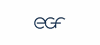 egf - Eduard G. Fidel GmbH Logo
