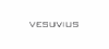 Vesuvius GmbH Logo